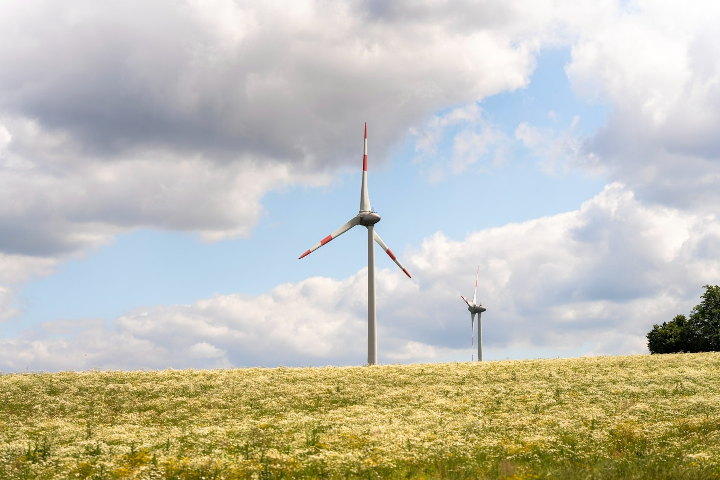 The Role of Indicators in Achieving Sustainable Goals